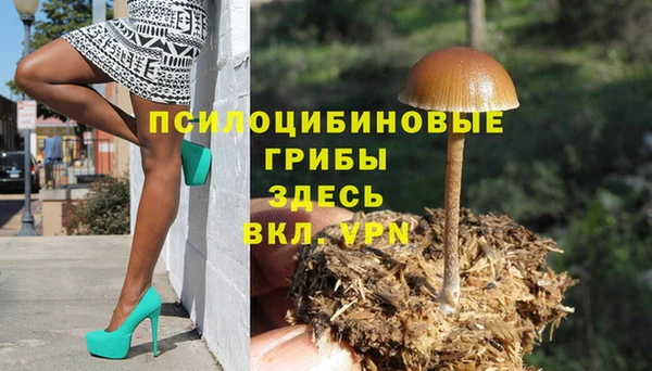 кокаин колумбия Белокуриха